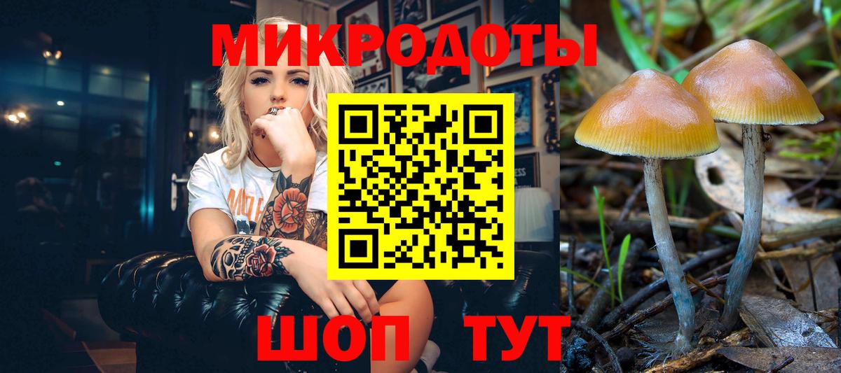 Галлюциногенные грибы прущие грибы Каспийск