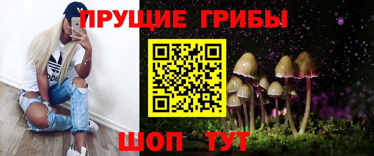 Псилоцибиновые грибы мицелий  купить наркоту  Каспийск  Вход с VPN 